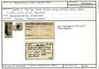 Karteikarte zum Holotyp von Marginulina opaca Stache, 1864